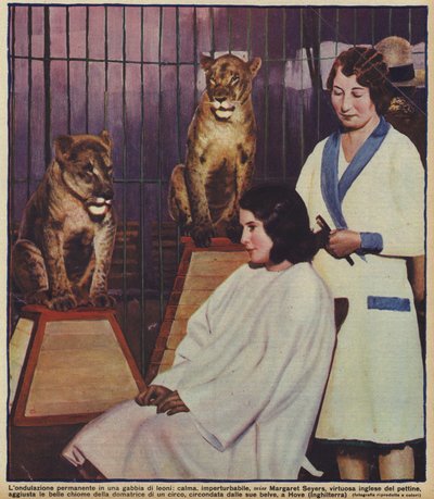 Die englische Friseurin Margaret Seyers frisiert ruhig den Zirkuslöwenbändiger, beobachtet von ihren Tieren, Hove, Sussex von English Photographer