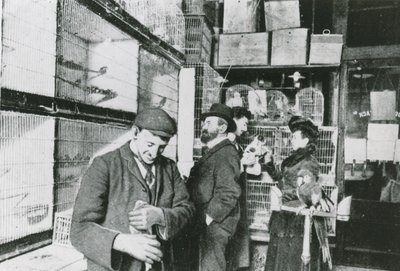 Haustierladen in der Great Portland Street von English Photographer