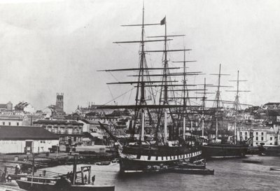 Große Victoria von English Photographer