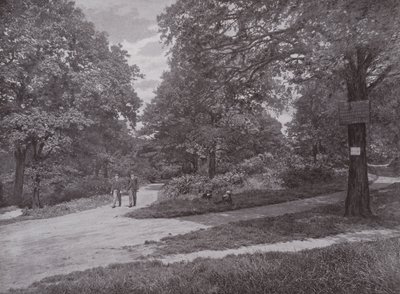 Im Queens Wood, Highgate von English Photographer