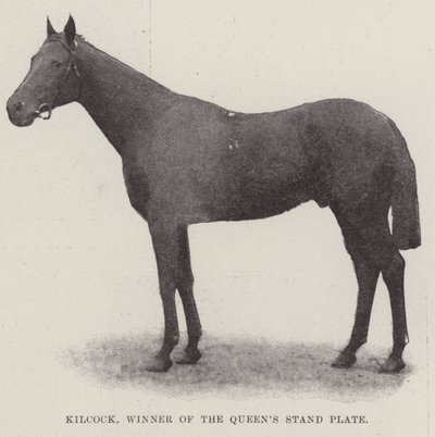 Kilcock, Gewinner der Queens Stand Plate von English Photographer