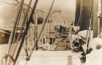 Rettungsboote auf einem Liner von English Photographer