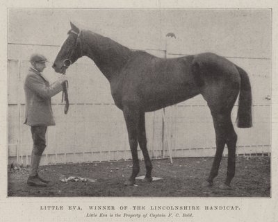 Little Eva, Gewinnerin des Lincolnshire Handicap von English Photographer