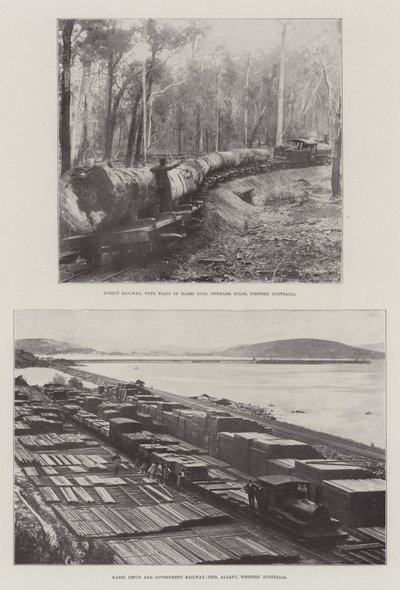 Holzfällerei in Australien von English Photographer