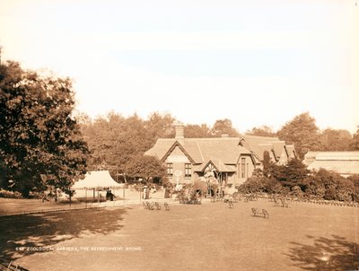 Londoner Zoo, die Erfrischungsräume von English Photographer