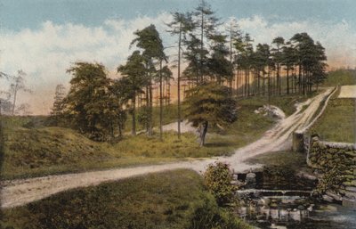 Lumsdale von English Photographer