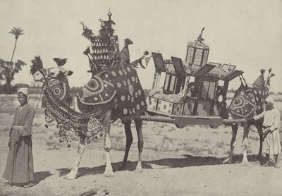 Hochzeitszeremonie in Kairo von English Photographer