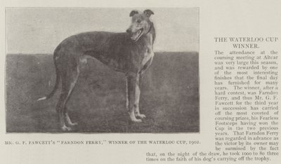 Mr G F Fawcetts Farndon Ferry, Gewinner des Waterloo Cup 1902 von English Photographer