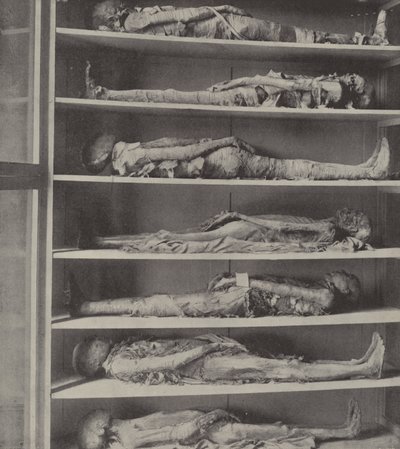 Mumien von Priestern, die Körper von Priestern, die vor Aaron und seinen Söhnen einbalsamiert wurden von English Photographer