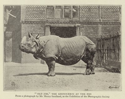 Alter Jim, das Nashorn im Zoo von English Photographer