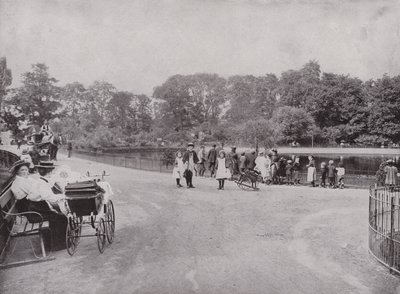 Peckham Park von English Photographer
