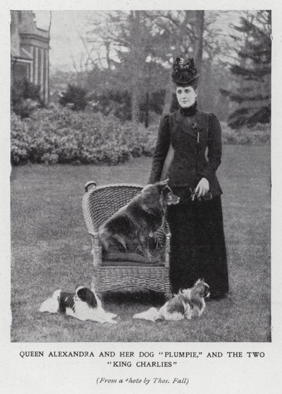 Königin Alexandra mit ihrem Hund Plumpie und ihren zwei King-Charles-Spaniels von English Photographer