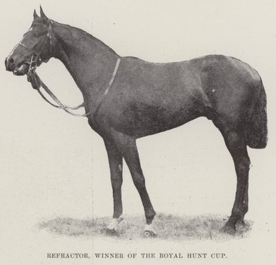 Refractor, Gewinner des Royal Hunt Cups von English Photographer