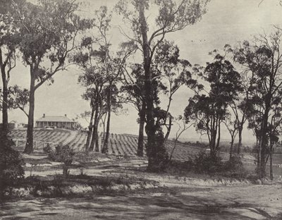 Szene auf der Gembrook Road, Victoria von English Photographer
