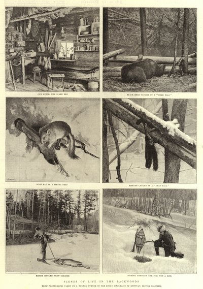 Szenen aus dem Leben in der Wildnis von English Photographer