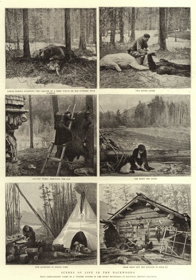 Szenen aus dem Leben in der Wildnis von English Photographer