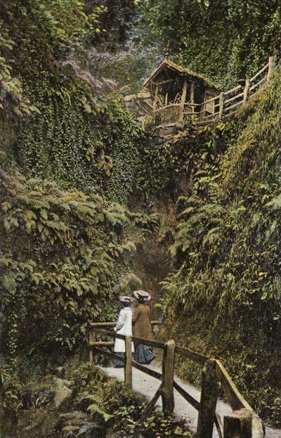 Shanklin Schlucht von English Photographer