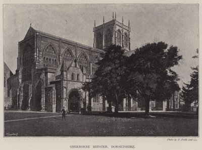 Sherborne Minster, Dorsetshire von English Photographer