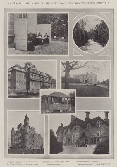 Sir Ernest Cassels Geschenk an den König, einige bestehende Tuberkulose-Sanatorien von English Photographer