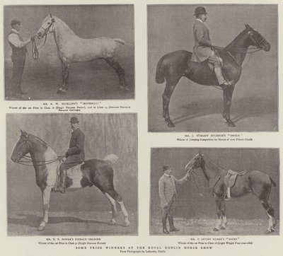 Einige Preisträger auf der Royal Dublin Horse Show von English Photographer