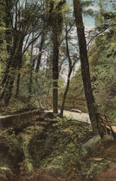Steinbrücke in der Shanklin Schlucht von English Photographer