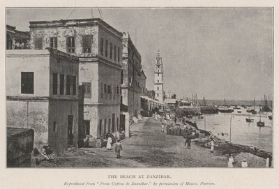 Der Strand von Sansibar von English Photographer