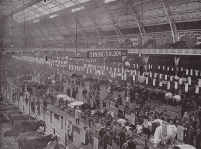 Die Viehschau, Royal Agricultural Hall von English Photographer