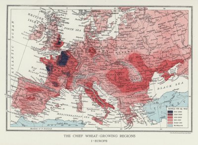 Die wichtigsten Weizenanbaugebiete, Europa von English Photographer
