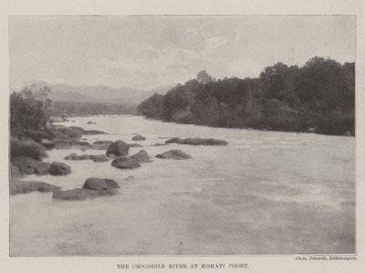 Der Krokodilfluss bei Komati Poort von English Photographer