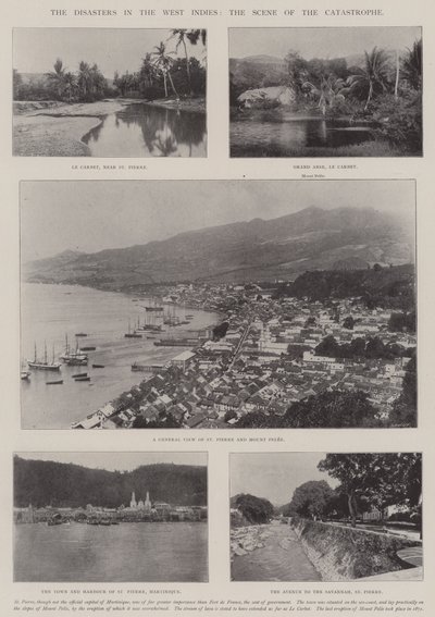 Die Katastrophen in Westindien, die Szene der Katastrophe von English Photographer