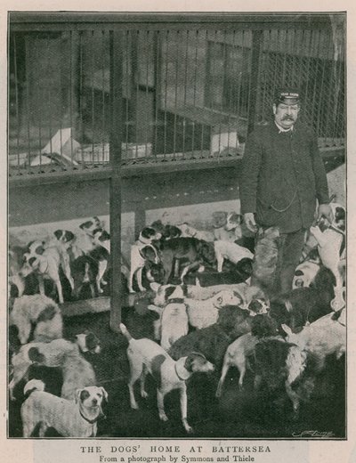 Das Hundeheim in Battersea von English Photographer
