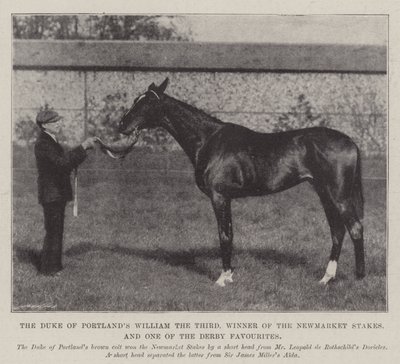 Der Herzog von Portlands William der Dritte, Gewinner der Newmarket Stakes und einer der Favoriten für das Derby von English Photographer