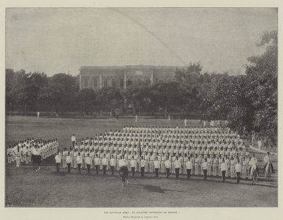 Die ägyptische Armee, ein Infanteriebataillon auf Parade von English Photographer