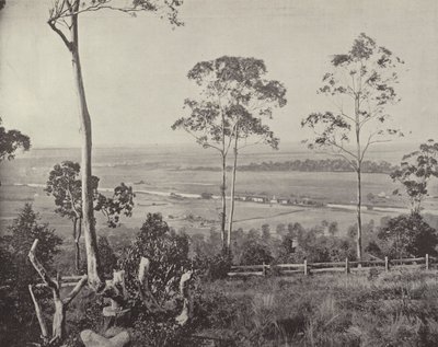 Die Emu Plains von English Photographer