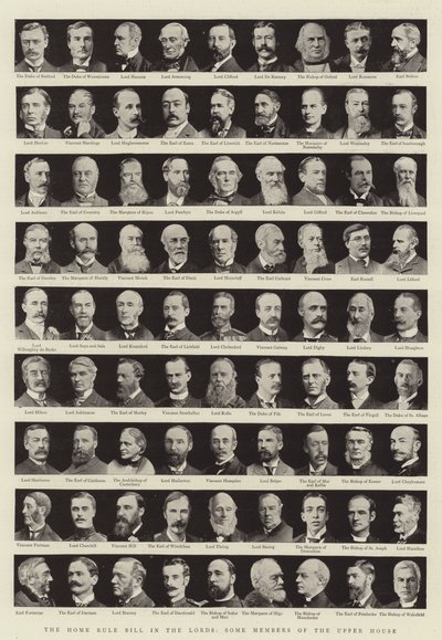 Das Home Rule Bill im Oberhaus, einige Mitglieder des Oberhauses von English Photographer