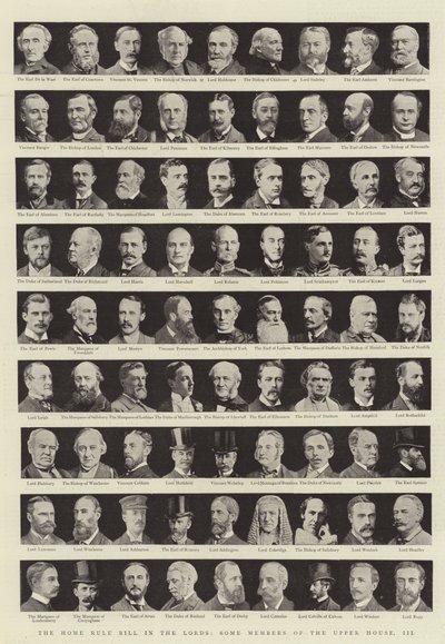 Das Home Rule Gesetz im Oberhaus, einige Mitglieder des Oberhauses, III von English Photographer
