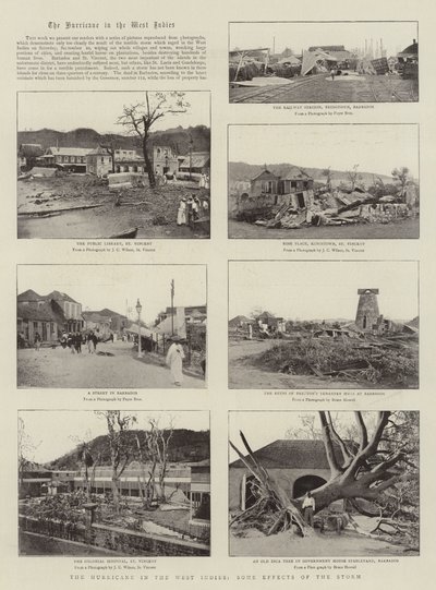 Der Hurrikan in den Westindischen Inseln, einige Auswirkungen des Sturms von English Photographer