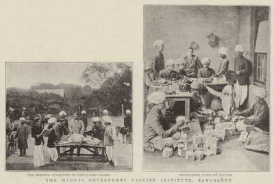 Das Impfstoffinstitut der Regierung von Madras, Bangalore von English Photographer