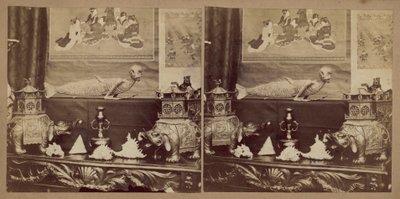 Der Affenfisch von Japan von English Photographer