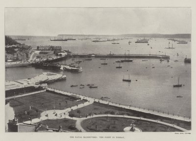 Die Marine-Manöver, die Flotte in Torbay von English Photographer