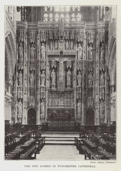 Der neue Schirm im Winchester Cathedral von English Photographer