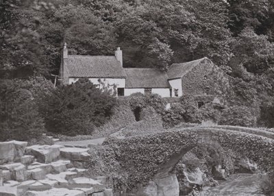 Die alte Mühle, Jesmond Dene von English Photographer