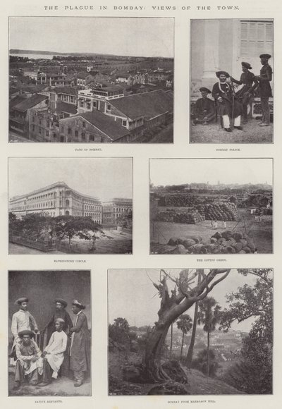 Die Pest in Bombay, Ansichten der Stadt von English Photographer
