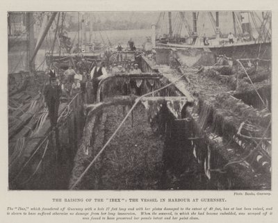 Das Heben des Ibex, das Schiff im Hafen von Guernsey von English Photographer
