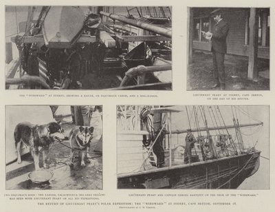 Die Rückkehr der Polarexpedition von Leutnant Peary, die Windward in Sydney, Cape Breton, 18. September von English Photographer