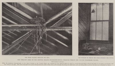 Das Drosselnest im Telegrafenbüro des Crystal Palace, durch das die Pokalspiel-Telegramme gingen von English Photographer