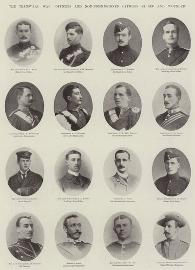 Der Transvaal-Krieg, Offiziere und Unteroffiziere getötet und verwundet von English Photographer