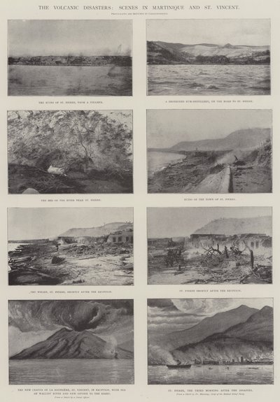 Die vulkanischen Katastrophen, Szenen in Martinique und St. Vincent von English Photographer
