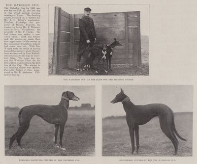 Der Waterloo Cup von English Photographer