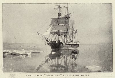 Der Walfänger Belvedere im Beringmeer von English Photographer